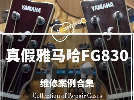 真假雅马哈FG830对比 真假雅马哈FG830对比,假的购于南宁市琴行最集中的那条路,后来修得够呛#吉他维修 #雅马哈 #琴行 #南宁 #吉他
