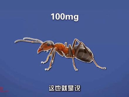 质量的单位和估测#动画 #物理 #上热门话题🔥🔥🔥 #儿童动画 #科技