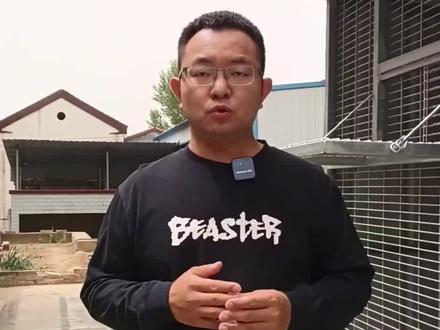 中国信鸽协会是个受气包 #信鸽 #养鸽 #赛鸽