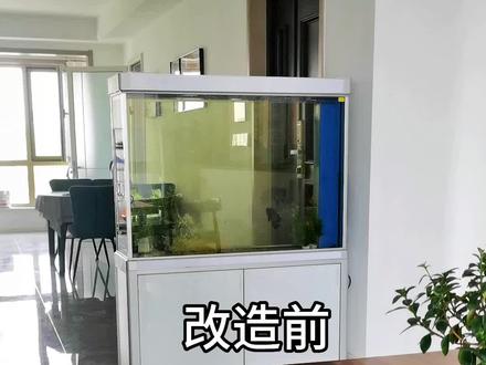 家里的旧鱼缸不要扔,收拾收拾做个生态缸,美观还不用经常打理#鱼缸造景 #观赏鱼 #水族 #开缸 #生态缸 @DOU+小助手