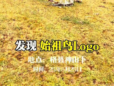 据说始祖鸟logo的设计灵感是以化石骨架为原型,简化为极具辨识度的线条造型,展现出一种动态的飞行姿态。我怎么看就是一对马骨头呢?😂#始祖鸟 #户外徒步