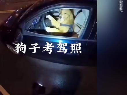 考C2不丢人,但你要切记布鲁斯考的是C1#上热搜 #布鲁斯