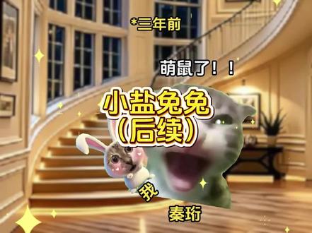 《小盐兔兔》后续 #猫meme #超爆小故事 #猫meme小剧场 #后续