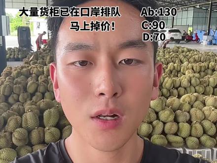 泰国榴莲产地行情分享 资本操作的大涨必然会大跌!马上掉价,口岸货柜已到位都在排队进入国内。货量马上冲击全国各大市场。并且未来货量不会断茬,稳定进入国内一天400柜以上。价格会下跌然后平稳。但好货仍然抢手,因为高品质榴莲只占少部分#泰国榴莲原产地 #水果搬运工#水果批发#泰国金枕榴莲#泰国榴莲工厂
