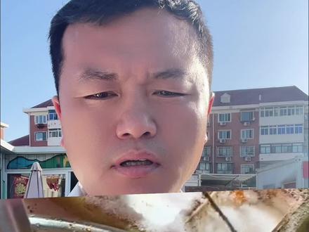#食品安全 需要抗炎早餐食谱的私信我