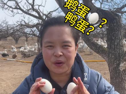 怎样区别鹅蛋和鸭蛋#农村生活