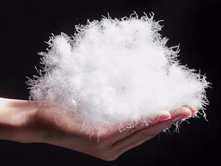 鸭绒比鹅绒好,你觉得有可能吗?#科普 #纪录片 #涨知识 #鸭绒 #羽绒