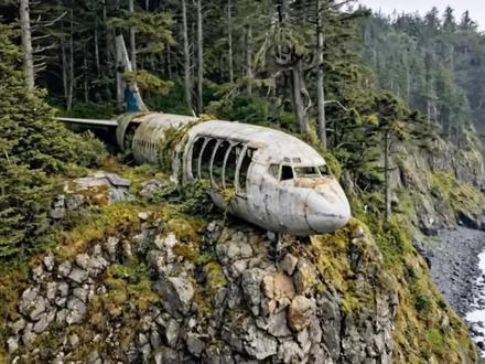 夫妻俩将遗弃在深山老林的废弃改造成庇护所#高手在民间 #荒野建造 #庇护所建造 #野外建造