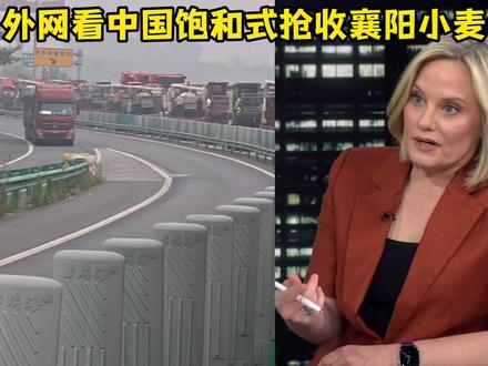 外网看中国饱和式抢收襄阳小麦 #硬核深度计划 #外国人看中国 #文化输出