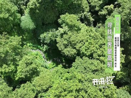 世界最高树可能就在西藏! 目前已知世界上最高的树是一棵116.07米的美国红杉。这个纪录会不会被藏在中国深山老林里的某棵大树打破?本期节目中,摄制组跟随郭庆华教授前往西藏,见证他们的寻找之旅。郭教授说,这个过程充满了艰险,也倒逼着他们研发出更高效、安全的测量手段。中国科学家用上了什么样的“黑科技”?今晚十点半档,登录央视频搜索#开讲啦 一起来见识!#寻找世界最高树