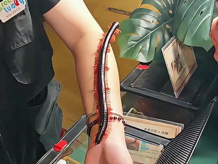 这种生物有毒吗 #奇妙的生物 #科普