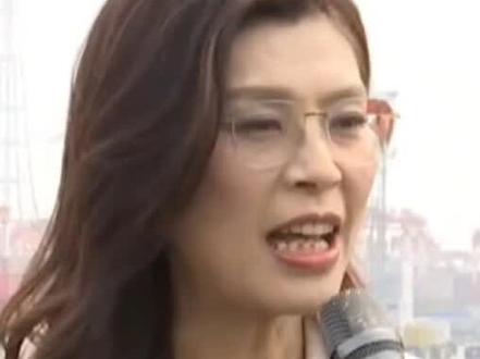 郑丽文参观上海洋山港,发表讲话