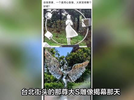 大S雕像变“硅胶手办”惹众怒?2.3万条差评背后:私人执念如何杀死了公众记忆!#明星八卦 #暑期档情报局 #暑期档测评员 #明星 #明星那些事