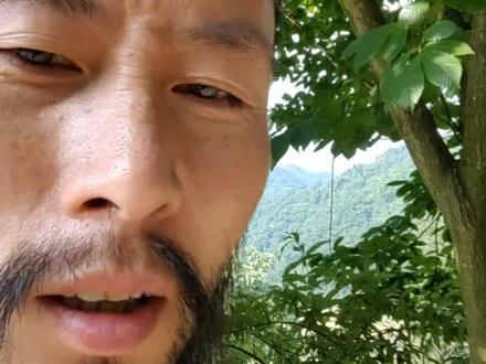 很多女人找不到靠谱的男人,不是什么遇人不淑,而是一个智力问题!#创作人计划 #原创视频 #情感 #人到中年 #懂的人自然能听懂