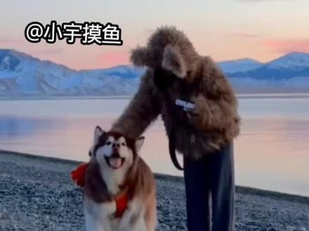 一直想要一件这样子的毛衣#宠物#狗#搞笑