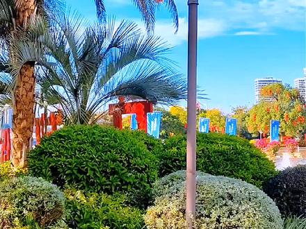 庆祝世界第七届客商大会在梅举行