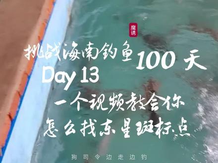 挑战海南钓鱼100天之13怎样找到东星斑标点 很多钓友问我要东星斑的标点,这个视频告诉你怎么样快速找到标点,后附标点了卫星地图#海南钓鱼 #海钓 #海南过冬 #东星斑