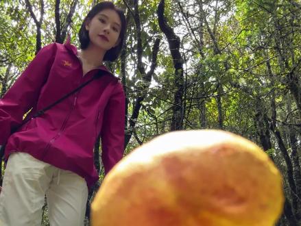 今天是“蘑菇猎人”
#疗愈是场长期主义#和恋夏风一起过夏天