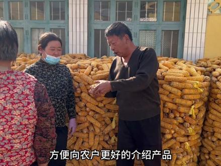 如此努力,就是为了把好品种带给广大农户,助农增收!#纵横26 #北京纵横种业 #励志 #影视解说 #反转