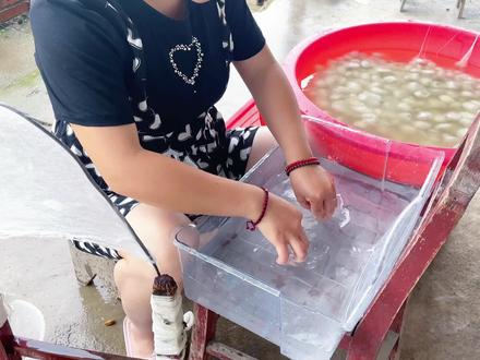 记录如何把一个蚕茧剥成蚕丝的过程 #蚕茧剥丝 #蚕茧 #蚕丝被