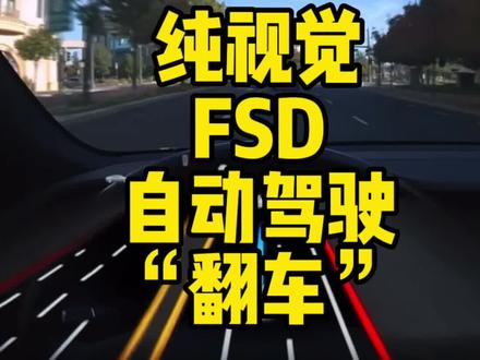 #特斯拉 纯视觉FSD自动驾驶神操作#特斯拉model3 #modely