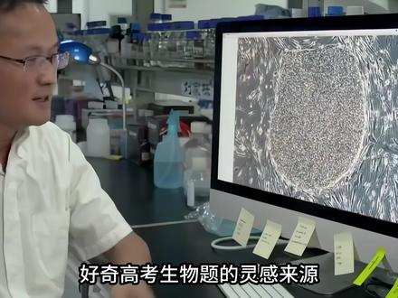 《Cell》出成了高考题?2026年高考生物 好奇高考生物题的灵感来源?我扒出了2026年黑吉辽蒙卷背后的原始论文,带你看看《Cell》和《Nature》是怎么变成考题的!
第10题:出自2025年《Cell》。山东大学等团队研究发现,GPR4是动物体内的“酸碱监测器”。擅长潜水的热带爪蟾在演化中改变了该受体,使其在体内酸性更强时才启动应激反应,从而避免潜水初期轻微酸化触发预警,完美适应水生生活。
第11题:出自2015年《中国组织工程研究》。天津学者探究人端粒酶催化亚基(hTERT)的作用,发现导入并表达hTERT的脐带间充质干细胞能维持端粒长度,显著增加细胞分裂次数,为干细胞治疗提供理论支撑。
第12题:出自2025年《The Crop Journal》。中国农科院团队发现玉米ZmCNX6基因调控脱落酸合成。该基因突变会导致脱落酸合成受阻,引发种子在果穗上提前发芽的“胎萌”现象,同时影响玉米抗旱能力。
第13题:出自2026年《Nature Communications》。中科院动物所等团队研发出高度模仿子宫软硬度与内部结构的凝胶材料,能让小鼠囊胚在体外顺利生长并发育出早期器官,优化了胚胎体外培养方法。
第17题:出自2025年《Nature Communications》。中科院水生所等团队发现,在缺碳环境下,三角褐指藻的共生细菌可分解葡萄糖产生二氧化碳供其光合作用,揭示了海洋硅藻依靠共生微生物适应碳源不足的生存策略。
第22题:出自2021年《Arthropods》。研究证实,在旱稻田边种植万寿菊能有效吸引害虫天敌并降低害虫数量,比单纯喷施提取物更绿色环保,为生态化农业防虫提供了实际参考。
第24题:出自2025年《Nature Genetics》。傅向东团队发现,特色水稻“千里稻”携带的qINCA2序列不会形成染色质环,能让RCN2基因持续发挥作用,使水稻在低氮肥环境下依旧高产,为培育节肥高产新品种奠定基础。
第25题:出自2025年《Nature Microbiology》。浙江大学等团队将松树基因导入平沙绿僵菌,使其释放长叶烯吸引蚊子并侵染灭杀,实现引诱杀虫一体化。该技术绿色环保,为虫媒传染病防治提供了新思路。