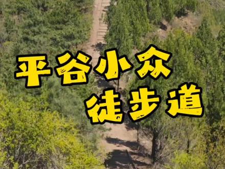 周末带娃来吸氧,台阶平稳又安全,老人孩子都能轻松登顶🔝#平谷遛娃好去处 #亲子 #爬山 #创作者扶持计划作者 #徒步山间木栈道