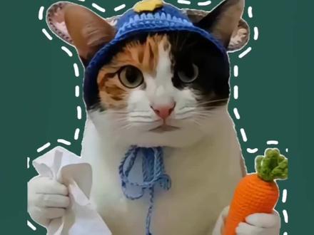 萝卜纸巾猫教你逻辑学三大定律
谁说这猫笨啊?这猫太聪明了!
“不是这个就是那个”这逻辑可是逻辑学三大定律:同一律、矛盾律、排中律共同严谨运作的结果。
逻辑学界萝卜纸巾猫申请出战!
#知识分享 #萝卜纸巾 #逻辑思维