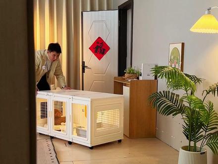 小狗别墅~自带狗厕所、耐啃咬!训养小狗好帮手~直播间活动进行中#养狗 #狗笼 #小狗别墅 #训犬 #收纳整理