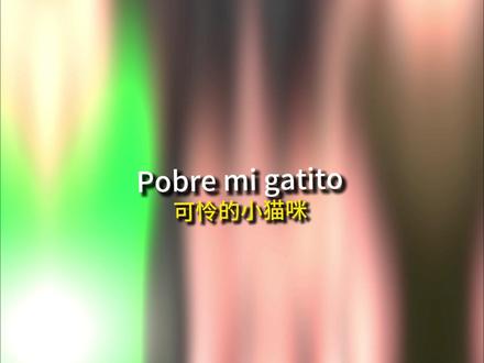 阿迪嘎滴多 喵喵#贾铮 #英文翻唱 #montagem #清唱挑战 #阿里嘎蒂朵喵喵