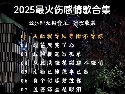 2025最火伤感情歌 #伤感歌曲分享 #歌曲合集分享