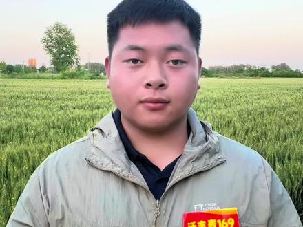 立夏到了,农历3月19不一般,看农谚老话怎么说#农业谚语 #农业 #农民种地不容易 #老百姓关心的话题 #心系三农服务三农