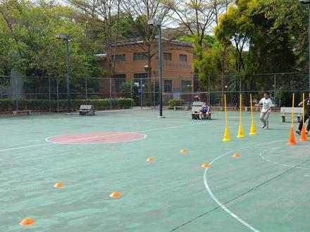 想学生敏捷性提高,试下上课玩这个体育游戏 #少儿体适能#体育课#少儿体能训练#趣味游戏#儿童体育锻炼