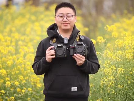 新手入门,全画幅单反尼康D800和D800E如何选择呢?#摄影 #尼康相机 #尼康D800E #尼康D800