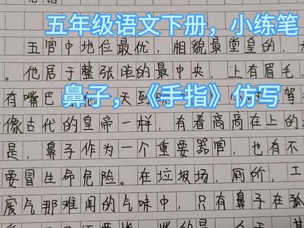 五年级语文下册,小练笔,鼻子,《手指》仿写#小学作文 #小练笔范文 #鼻子
