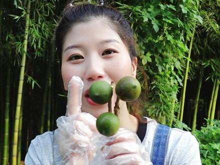 正宗佛跳墙是什么东西 5407d905d22c380adebf60492306dc4c~tplv-dy-resize-origshort-autoq-75:330.jpeg?x-expires=1985889600&x-signature=9%2FI34szA3seGCGwXvIIpaYb1F44%3D&from=3213915784&s=PackSourceEnum_AWEME_DETAIL&se=false&sc=cover&biz_tag=pcweb_cover&l=021670530509004fdbddc02010802188442112f4000004d7c50bd