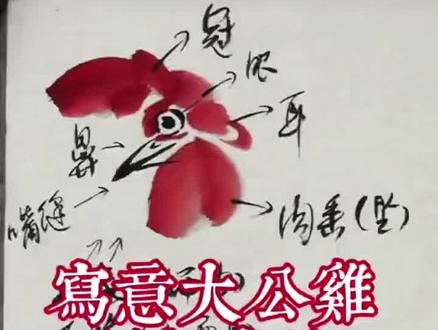 公鸡画法精讲 #国画 #花鸟 #公鸡