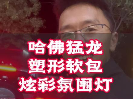 #汽车改装升级 15-20万新能源紧凑型SUV。又大,又省油,还便宜!还等啥?#氛围灯效果 #软包脚垫 #哈弗猛龙