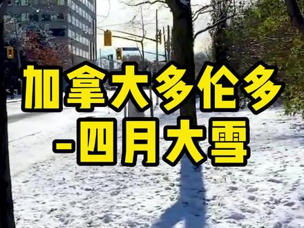 加拿大多伦多四月的天气到底有多美#出国留学 #海外生活 #抖音看世界#加拿大 #记录真实生活