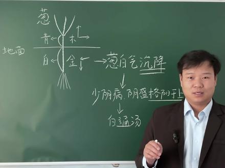 葱白怎么通阳气 #学中医 #葱白 #通阳 #白通汤 #戴阳证