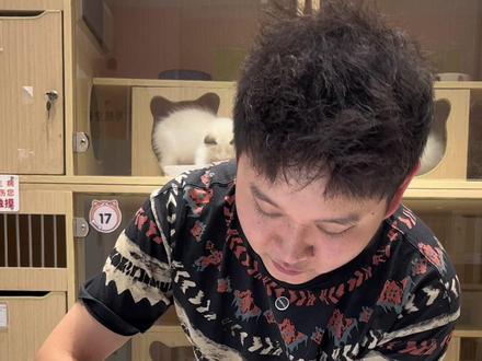 暹罗和重点色有什么区别呢? #热点 #暹罗猫