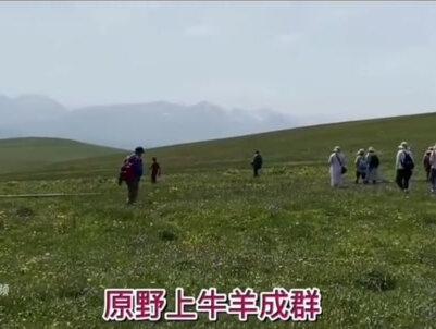 中文版的《鲜花盛开的村庄》#老影片 插曲#古铜让你闪耀 @燕子