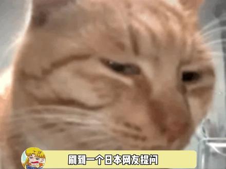 刚打开家门 就传来 战争结束的消息