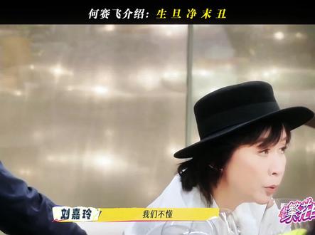 何赛飞介绍:生日净末丑 #一路繁花第2季 #刘嘉玲 #刘晓庆 #张柏芝 #何赛飞