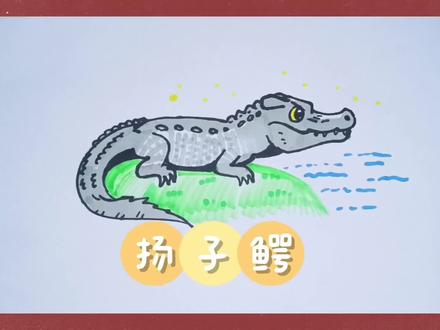 一起画扬子鳄#画画#扬子鳄#绘画教程#动物