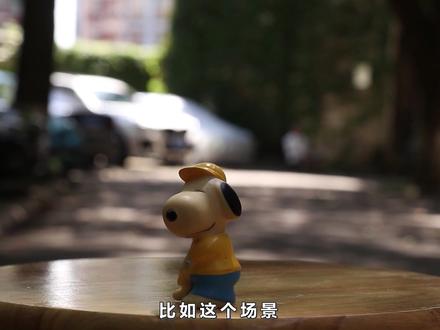 为什么M手动模式没有曝光补偿 这个教程告诉你 摄影基础入门
