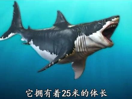 不知道巨齿鲨的肉味道咋样#黑科技 #dou出新知