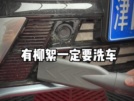 车上有柳絮到底要不要洗车??? #峻野洗美俱乐部