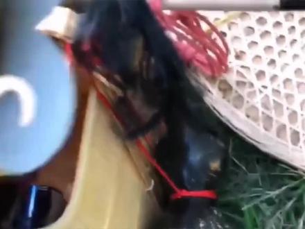 #西游记 沙僧扁担里挑的是雪花啤酒😅😅😅