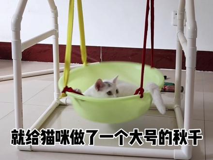用pvc管自制猫咪秋千#记录猫咪日常 #萌宠日常记录 #小奶猫的点点滴滴 #我和流浪猫的故事